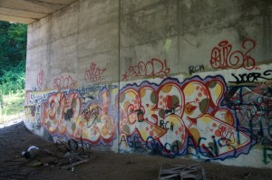 IMG_2241 Even on the short walk (two miles, appx.) it was easy to transport ourselves to Thoreau's time. And then we would see totally contemporary artefacts adn return to the presence. This graffiti was actually pretty beautiful.