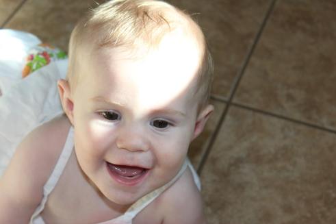 Wren, born 9-20-2012