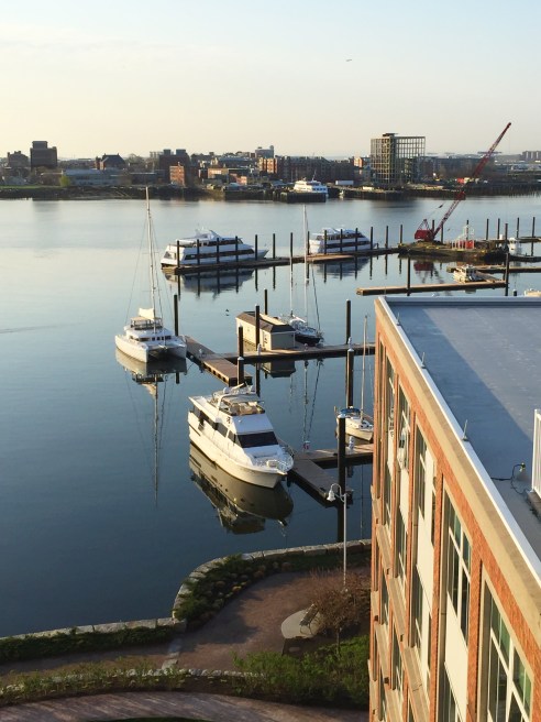 View from my terrace this morning