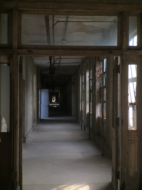 A typical hospital corridor, with great emphasis on natural light and airflow.